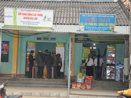 Bà con nên mua thuốc BVTV tại các cửa hàng, đại lý có uy tín 