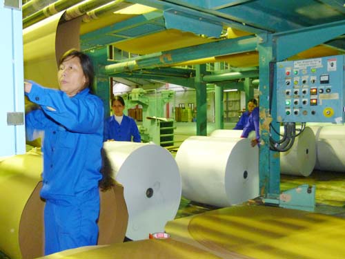 DN ngành giấy cần đẩy mạnh đầu tư khoa học công nghệ để cạnh tranh