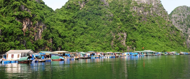 Thăm làng chài đẹp nhất thế giới ở vịnh Hạ Long