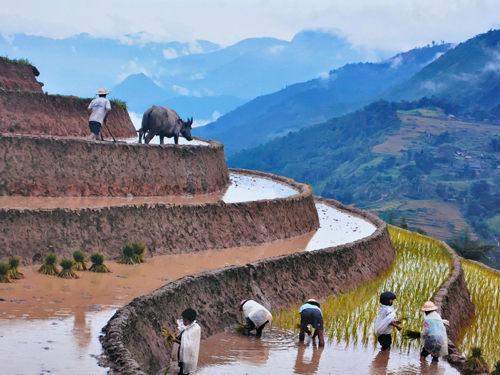 Các tour du lịch mang đậm tính chất vùng miền