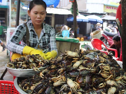Chị Hạnh mỗi ngày thu mua hơn 100 kg cua đồng ở chợ Trường Xuân.