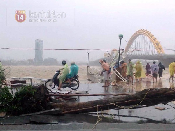 Những hình ảnh về sự tàn phá kinh hoàng của bão số 11 tại Đà Nẵng 3 Những hình ảnh về sự tàn phá kinh hoàng của bão số 11 tại Đà Nẵng 3