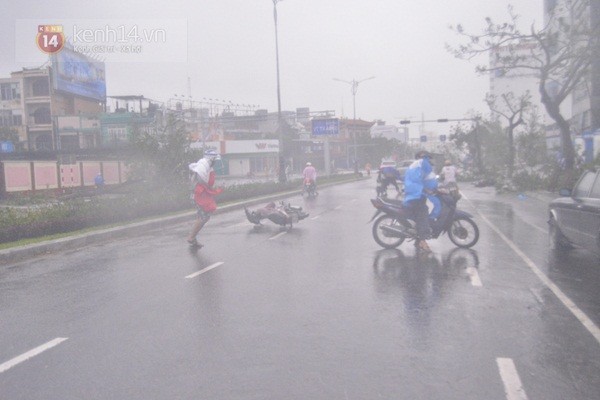 Những hình ảnh về sự tàn phá kinh hoàng của bão số 11 tại Đà Nẵng 4