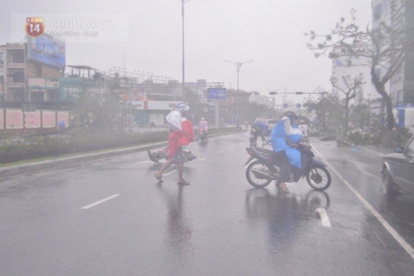 Những hình ảnh về sự tàn phá kinh hoàng của bão số 11 tại Đà Nẵng 5