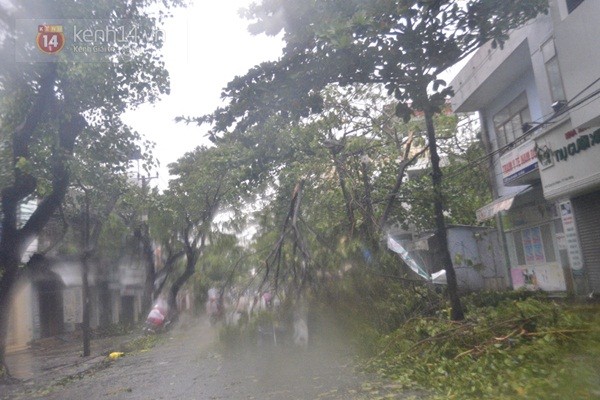 Những hình ảnh về sự tàn phá kinh hoàng của bão số 11 tại Đà Nẵng 6