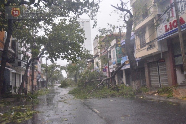 Những hình ảnh về sự tàn phá kinh hoàng của bão số 11 tại Đà Nẵng 7
