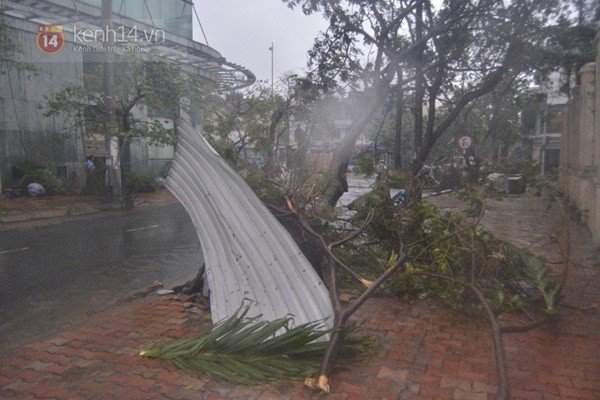 Những hình ảnh về sự tàn phá kinh hoàng của bão số 11 tại Đà Nẵng 9