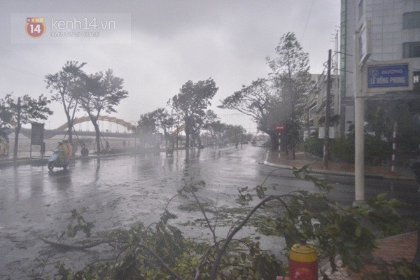 Những hình ảnh về sự tàn phá kinh hoàng của bão số 11 tại Đà Nẵng 10