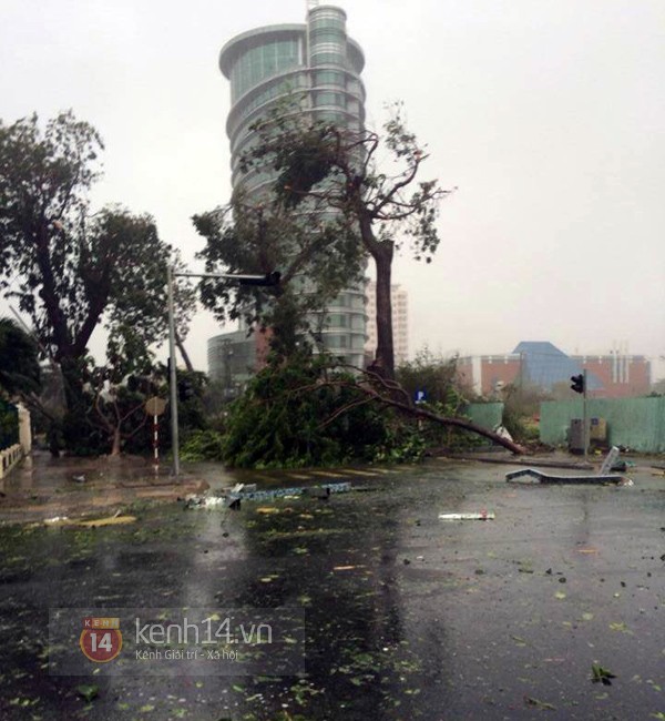 Những hình ảnh về sự tàn phá kinh hoàng của bão số 11 tại Đà Nẵng 11 Những hình ảnh về sự tàn phá kinh hoàng của bão số 11 tại Đà Nẵng 11