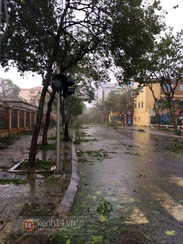 Những hình ảnh về sự tàn phá kinh hoàng của bão số 11 tại Đà Nẵng 12 Những hình ảnh về sự tàn phá kinh hoàng của bão số 11 tại Đà Nẵng 12
