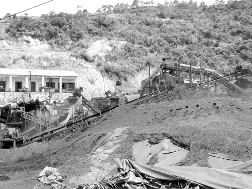 TKV chú trọng trồng cây cải tạo phục hồi trên các bãi thải    Ảnh: Thanh Hiện  