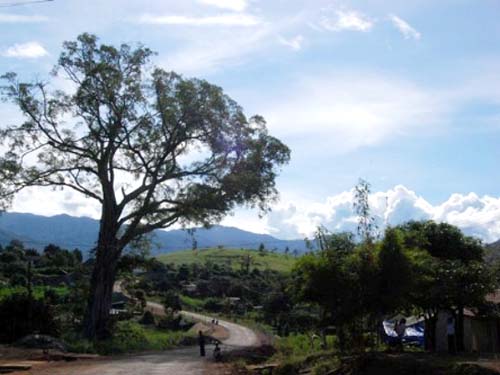 Vẻ đẹp thanh bình của làng Vai Trang, Đắk Long, Đắk Glei, Kon Tum