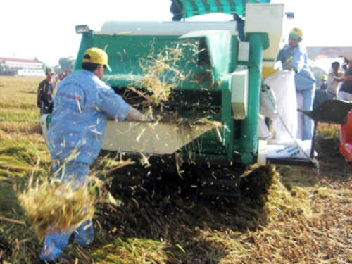 Chiếc máy gặt đập của ông Phạm Hoàng Thắng.