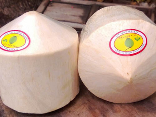 Dừa xiêm Bến Tre sau khi gọt vỏ đạt trọng lượng 0,9-1 kg mới đáp ứng yêu cầu xuất khẩu.
