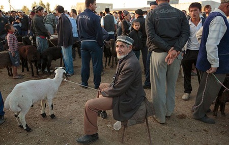 Chợ gia súc, Bukhara, Uzbekistan