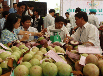 Rau củ Việt Nam muốn xuất khẩu tốt phải làm theo đúng tiêu chuẩn GAP