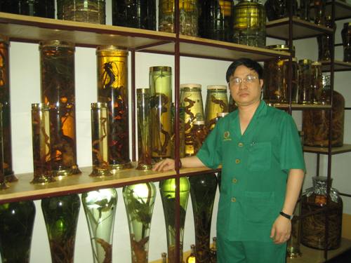 Lương y Phùng Tuấn Giang bên bộ sưu tập sâm khủng Ngọc Linh