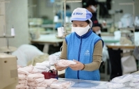 Xuất khẩu khẩu trang: Cơ chế đã thông nhưng thực tế vẫn khó