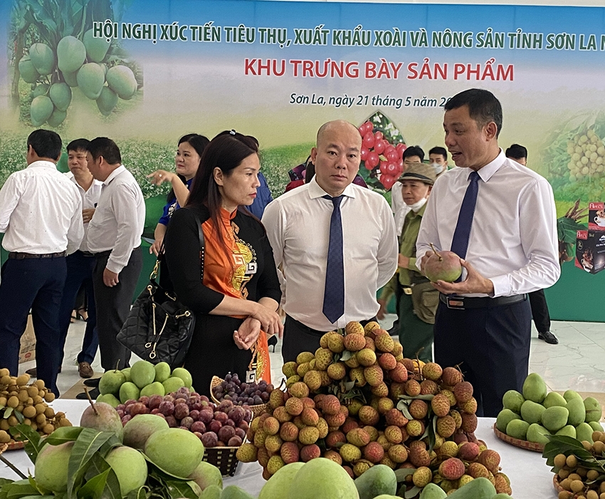 Tỉnh Sơn La trải thảm đỏ thu hút dự án chế biến nông sản Tỉnh Sơn La trải thảm đỏ thu hút dự án chế biến nông sản