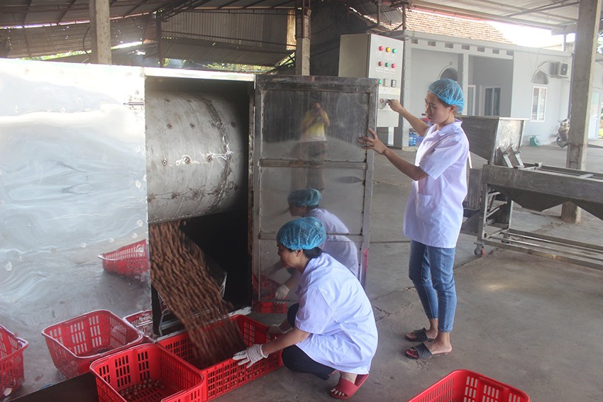 doanh nghiệp nông thôn doanh nghiệp nông thôn