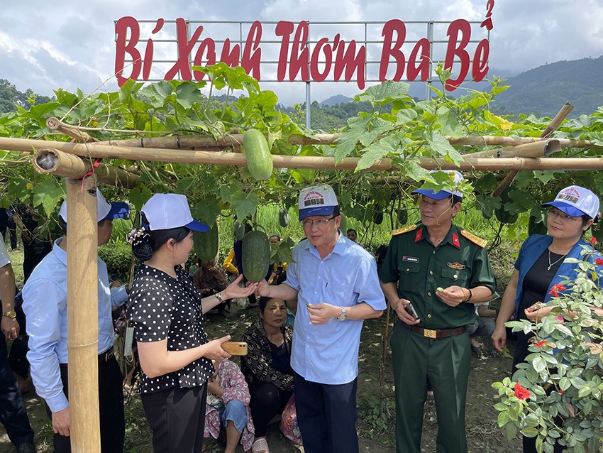 Bắc Kạn triển khai đa dạng hoạt động xúc tiến thương mại tiêu thụnoong sản Bắc Kạn triển khai đa dạng hoạt động xúc tiến thương mại tiêu thụnoong sản