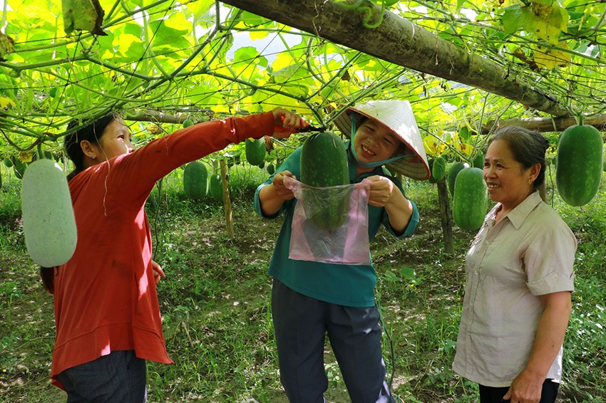 “Bắt tay” tiêu thụ sản phẩm OCOP cho bà con dân tộc thiểu số “Bắt tay” tiêu thụ sản phẩm OCOP cho bà con dân tộc thiểu số