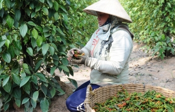 Châu Phi- Thị trường xuất khẩu tiềm năng cho nhiều loại hàng hoá Việt Nam