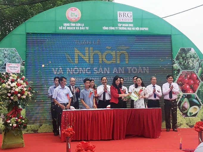 Nông sản an toàn Sơn La tạo ấn tượng với người tiêu dùng Thủ đô nong san an toan son la chinh phuc nguoi tieu dung thu do