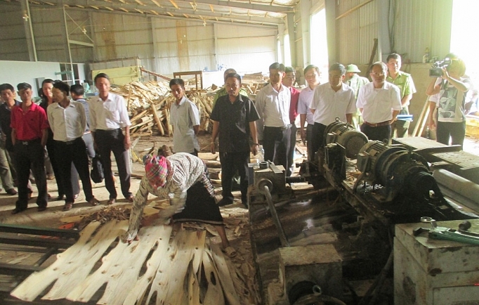 cong nghiep lai chau dau an 15 nam