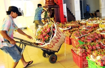 Xuất khẩu nông sản, thuỷ sản sang Hà Lan: Giải bài toán cạnh tranh về giá