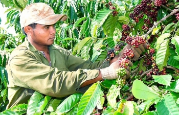 Cơ hội hợp tác cho doanh nghiệp Ấn Độ - Tiểu vùng sông Mekong