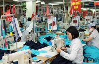 Bộ Công Thương hỗ trợ doanh nghiệp xuất khẩu vượt hàng rào phi thuế quan