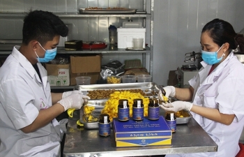 Khuyến công quốc gia: Góp phần khắc phục điểm yếu cho ngành nông sản