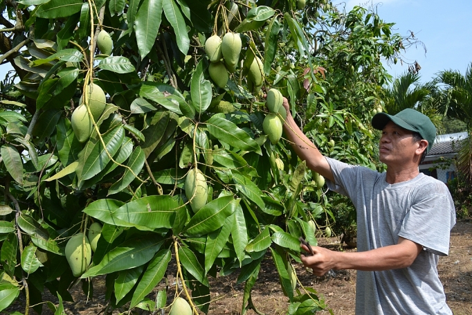 chu trong quy dinh kiem dich trong nong san xuat khau sang trung quoc
