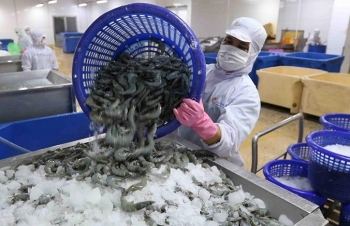 Cung cấp thông tin thị trường Algeria cho doanh nghiệp