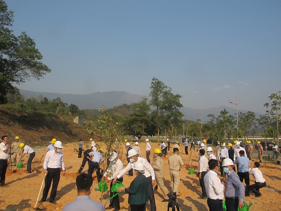 EVN phấn đấu trồng 100.000 cây xanh năm 2021 EVN phấn đấu trồng 100.000 cây xanh năm 2021