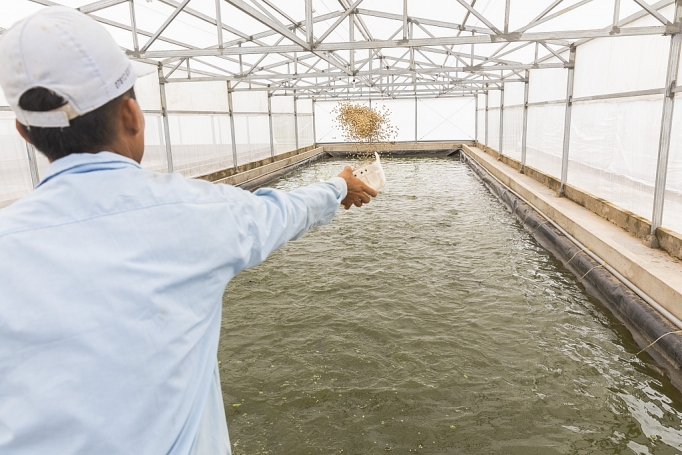 nuoi trong thuy san ket hop dien mat troi tai viet nam huong di moi hieu qua