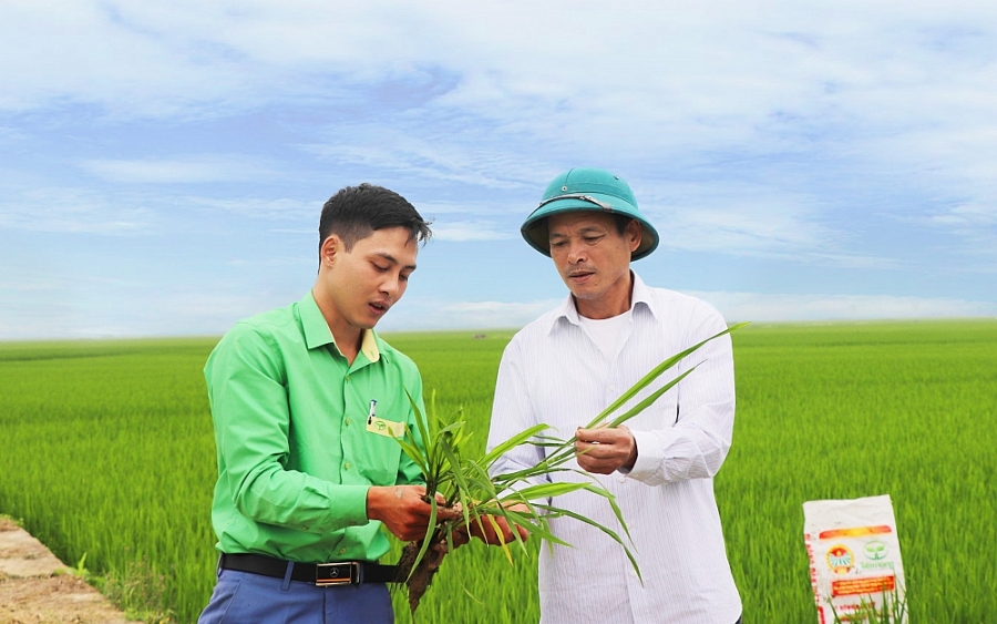 Phân bón Tiến Nông: Cùng nông dân làm giàu