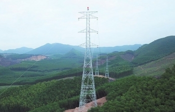 Đường dây 220kV Nậm Mô - Tương Dương: Đề nghị tỉnh Nghệ An cho mượn đất mở đường thi công tại 6 vị trí cột