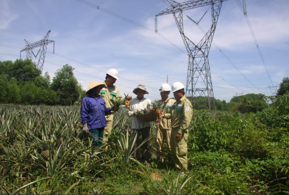 TTĐ Quảng Trị đảm bảo vận hành lưới truyền tải điện trong mùa nắng nóng ttd quang tri dam bao van hanh luoi truyen tai dien trong mua nang nong