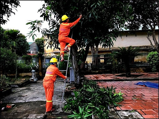 evnnpc chu dong san sang ung pho bao so 3