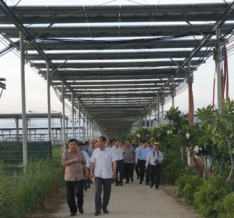 EVN đề nghị hướng dẫn xử lý vướng mắc về điện mặt trời áp mái evn de nghi huong dan xu ly vuong mac ve dien mat troi ap mai