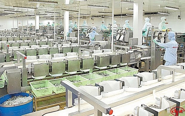 Thị trường chuỗi cung ứng lạnh: Khoảng trống tỷ đô Thị trường chuỗi cung ứng lạnh: Khoảng trống tỷ đô