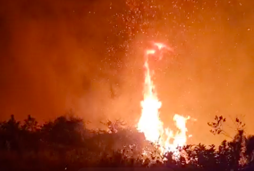 Cần tăng cường truyền thông về cháy rừng khu vực miền Trung Cần tăng cường truyền thông về cháy rừng khu vực miền Trung