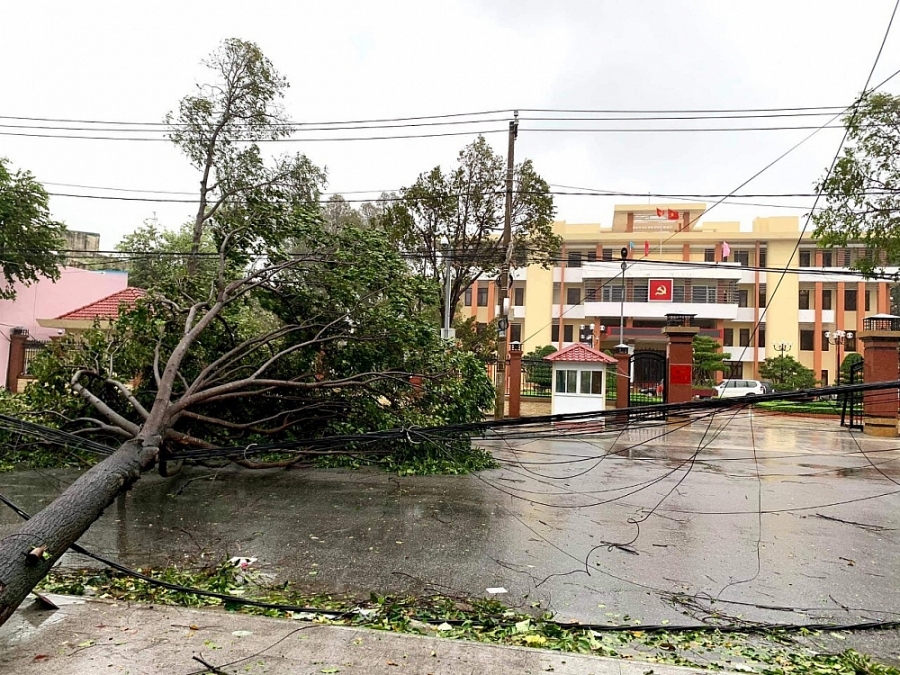Bão số 9 gây sự cố lưới điện trung hạ áp nhiều tỉnh miền Trung   Tây Nguyên