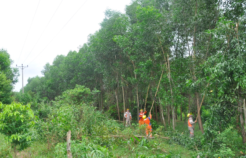PC Hà Tĩnh: Hiệu quả từ tuyên truyền bảo vệ hành lang lưới điện và an toàn điện