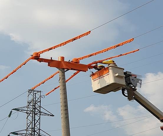 NPSC: Hướng tới mục tiêu doanh thu cao hơn npsc huong toi muc tieu doanh thu cao hon