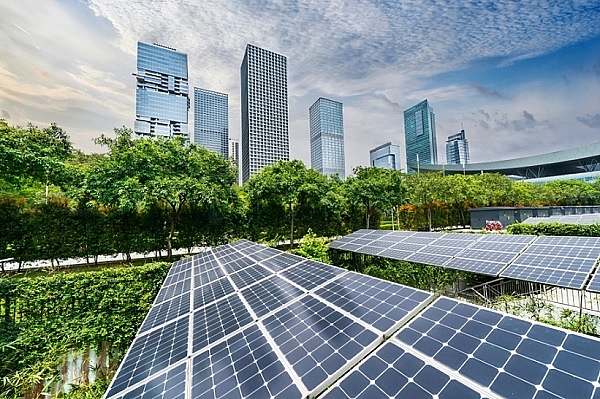 Thúc đẩy xu hướng chuyển dịch đầu tư cho các ngành kinh tế xanh