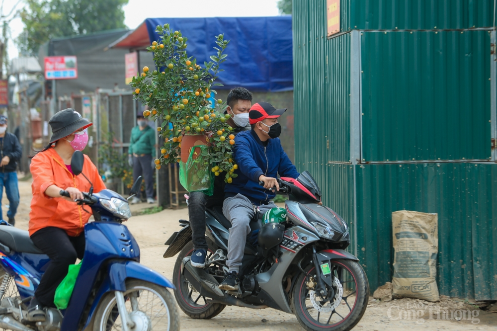 Làng quất Tứ Liên tất bật những giày giáp Tết