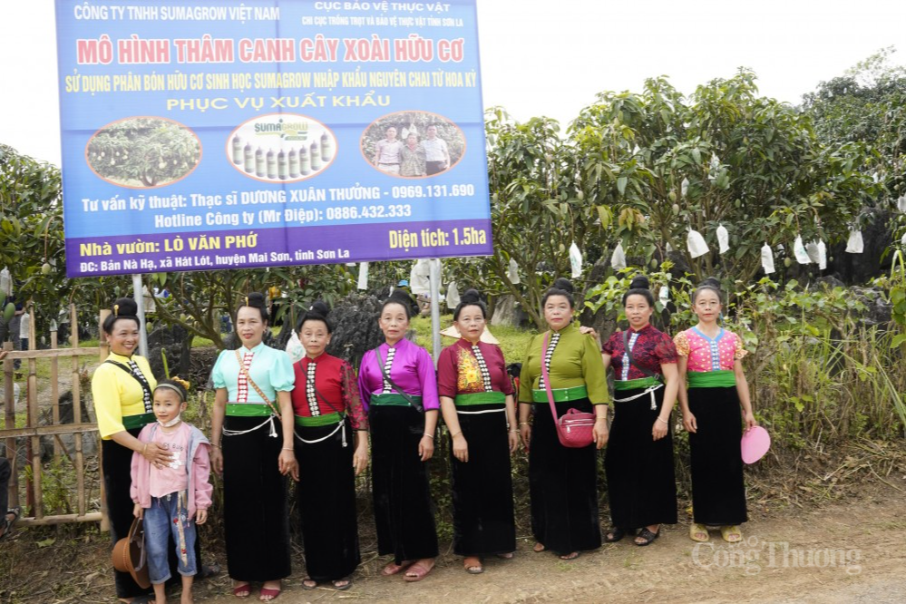 Thủ tướng Chính phủ: Biến không thể thành có thể từ tư duy "Đưa cây ăn quả lên sườn dốc"